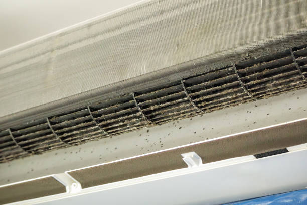 Best Air Duct Sanitizing Services  in Seabrook, TX