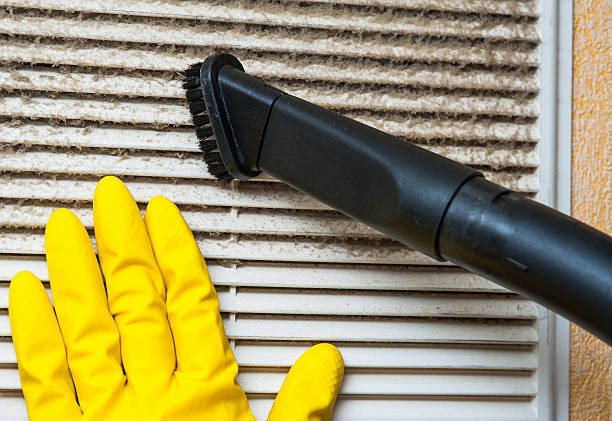 Best Dryer Vent Cleaning Services  in Seabrook, TX